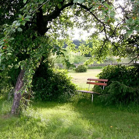 Muflon Maison d'hôtes Bela nad Radbuzou