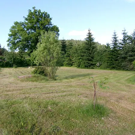 Muflon Bela nad Radbuzou