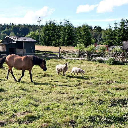 Muflon Bela nad Radbuzou