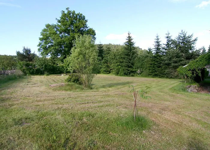 Muflon Bela nad Radbuzou