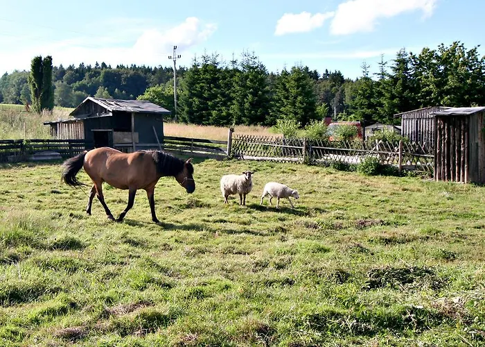 Muflon Bela nad Radbuzou